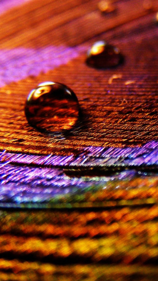 Water drop colorful surface wooden - a close up of a water drop free wallpaper