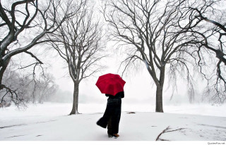 Person walking snow red umbrella - foggy free wallpaper
