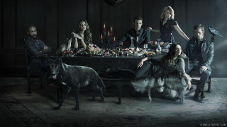 Group people table dog standing - free dogs wallpaper