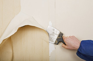 Person paintbrush painting wall white 2 - deconstructivism free wallpaper