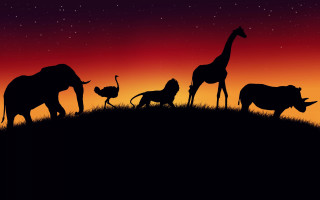 Animals hill night red sky - hill free wallpaper