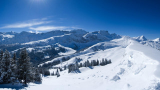 Snow covered mountain sun trees 2 - edi rama free wallpaper