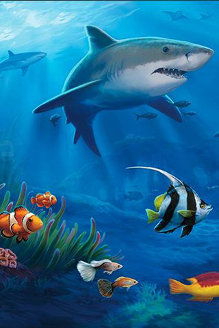 Shark ocean animals swimming fish - fantasy art free wallpaper