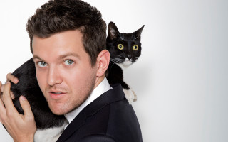 Man suit cat shoulders serious - his face free wallpaper