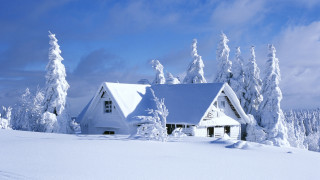 House snowy field trees blue - cloud free wallpaper