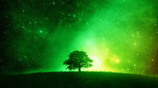 Lone tree field green yellow - sky free wallpaper