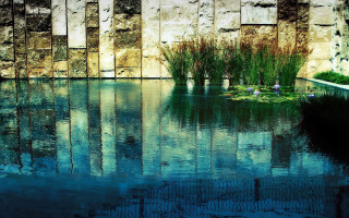 Pond plants building stone wall - david chipperfield free wallpaper