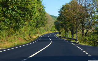 Curved road trees sign middle - road free wallpaper