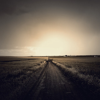 Dirt road field sky sun - a dirt road in a field free wallpaper