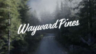 Wayward pines sign foggy forest - a sign free wallpaper for desktop