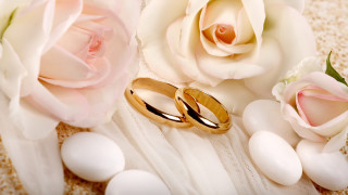 Wedding rings roses white cloth 2 - a white cloth free wallpaper