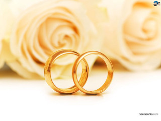 Gold wedding rings bouquet roses - a quote free wallpaper