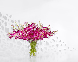 Vase purple flowers table broken - a broken glass window free wallpaper