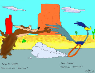 Cartoon bird desert flying beach - loony toon free wallpaper