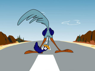 Chica bending road drink bottle - his hand and a bird free wallpaper