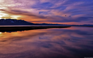 Lake mountain sunset bird flying - naturalism free wallpaper