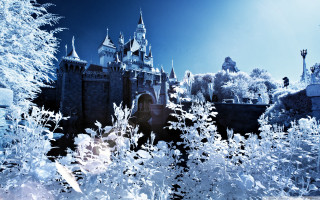 Castle clock tower surrounded by - top of its free wallpaper