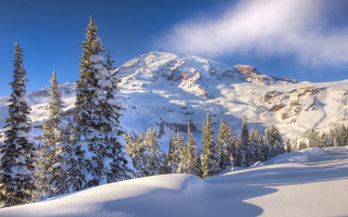 Snowy mountain trees blue sky 11 - a few snow free wallpaper