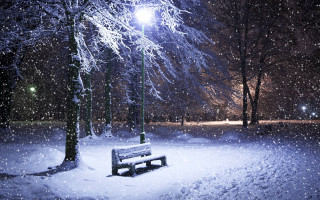 Bench snowy park night streetlight 8 - evgeny lushpin free wallpaper
