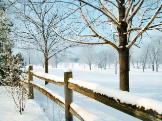 Fence snow tree background snow 2 - regionalism free wallpaper
