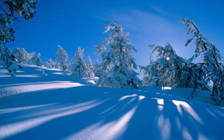 Snow covered hill trees blue - hill free wallpaper