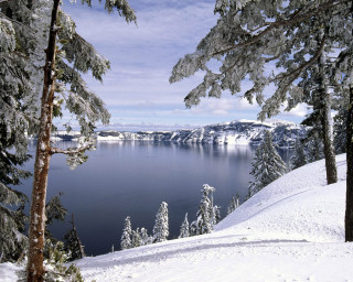 Winter lake snowy trees cloudy - regionalism free wallpaper