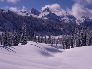 Snowy mountain trees snow blue - bob ross free wallpaper