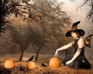 Woman black dress hat bird - a black dress and hat free wallpaper