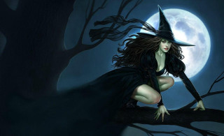 Witch woman tree branch full - a tree branch in front free wallpaper