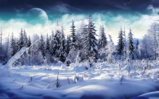 Snowy landscape trees moon sky - full free wallpaper