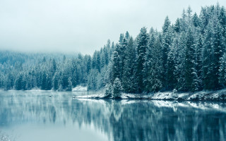 Lake trees snow foggy sky - a foggy sky above free wallpaper