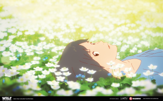 Woman laying field flowers eyes - a field of flowers free wallpaper