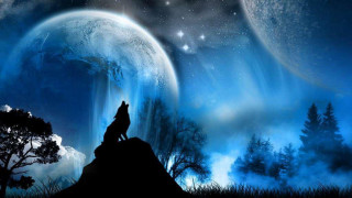 Wolf hill moon stars sky 2 - full free wallpaper