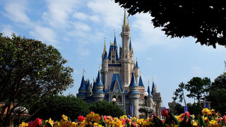 Castle flowers sky clouds background - a castle free wallpaper