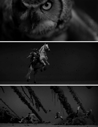 Cat riding horse black white - a cat free wallpaper