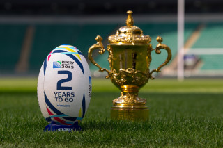 Rugby ball trophy grass field - a stadium in the background free wallpaper