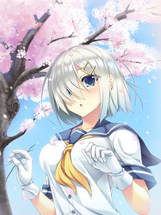 Anime girl tree pink flowers - branch free wallpaper