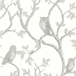 Owls tree branch leaves background - a tree branch free wallpaper