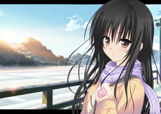 Girl long hair fence snow - the ground and mountains free wallpaper