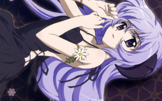 Woman purple hair flower purple - a purple background free wallpaper