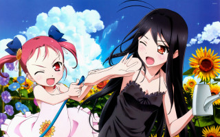 Anime girls field flowers camera - a field of flowers free wallpaper