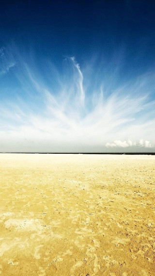 Lone horse vast field blue - andreas gursky free wallpaper