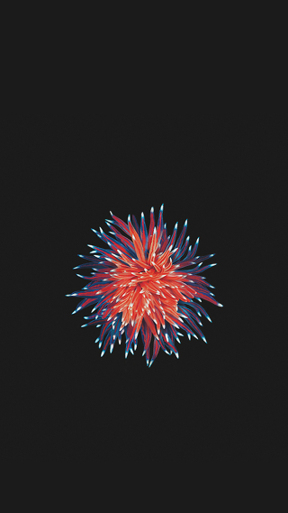 Red white blue fireworks black - free new year wallpaper