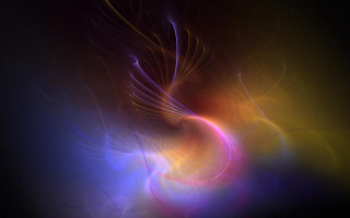 Colorful bird prey black white 2 - abstract art free wallpaper