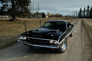 Black muscle car dirt road - a dirt road in a field free wallpaper