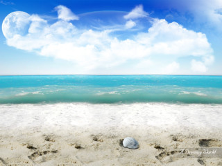 Seashell sandy beach blue sky 3 - a blue sky and ocean in the background free wallpaper