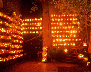 Lit up pumpkins in the 3 - pumpkin free wallpaper