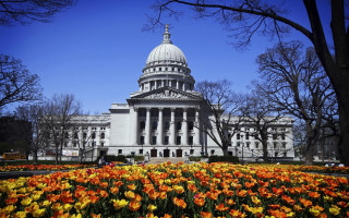 Dome building field flowers trees - leaf free wallpaper