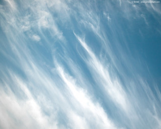 Plane flying sky clouds blue 8 - daren bader free wallpaper
