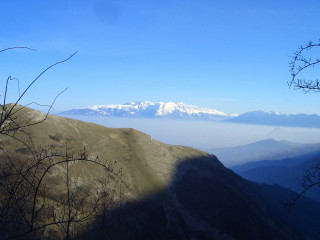 Mountain range cloud trees panorama - low free wallpaper